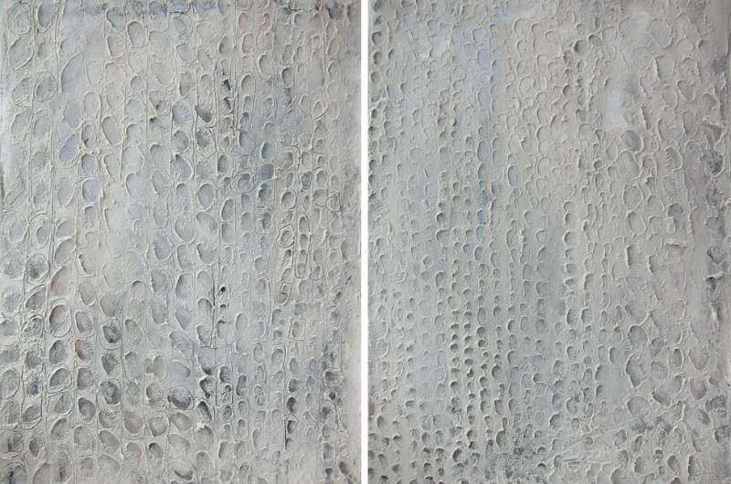 Image of textured scaly artwork in white and grey tones