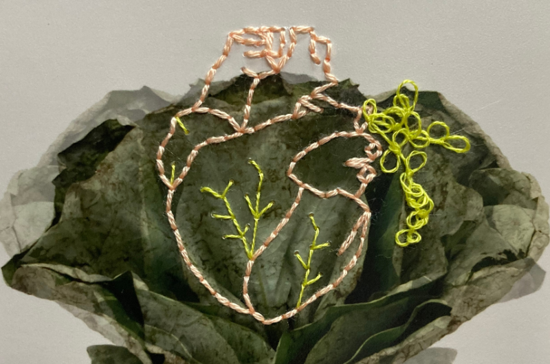 Close up image of sculpture with a heart-like frame on a cabbage-like base