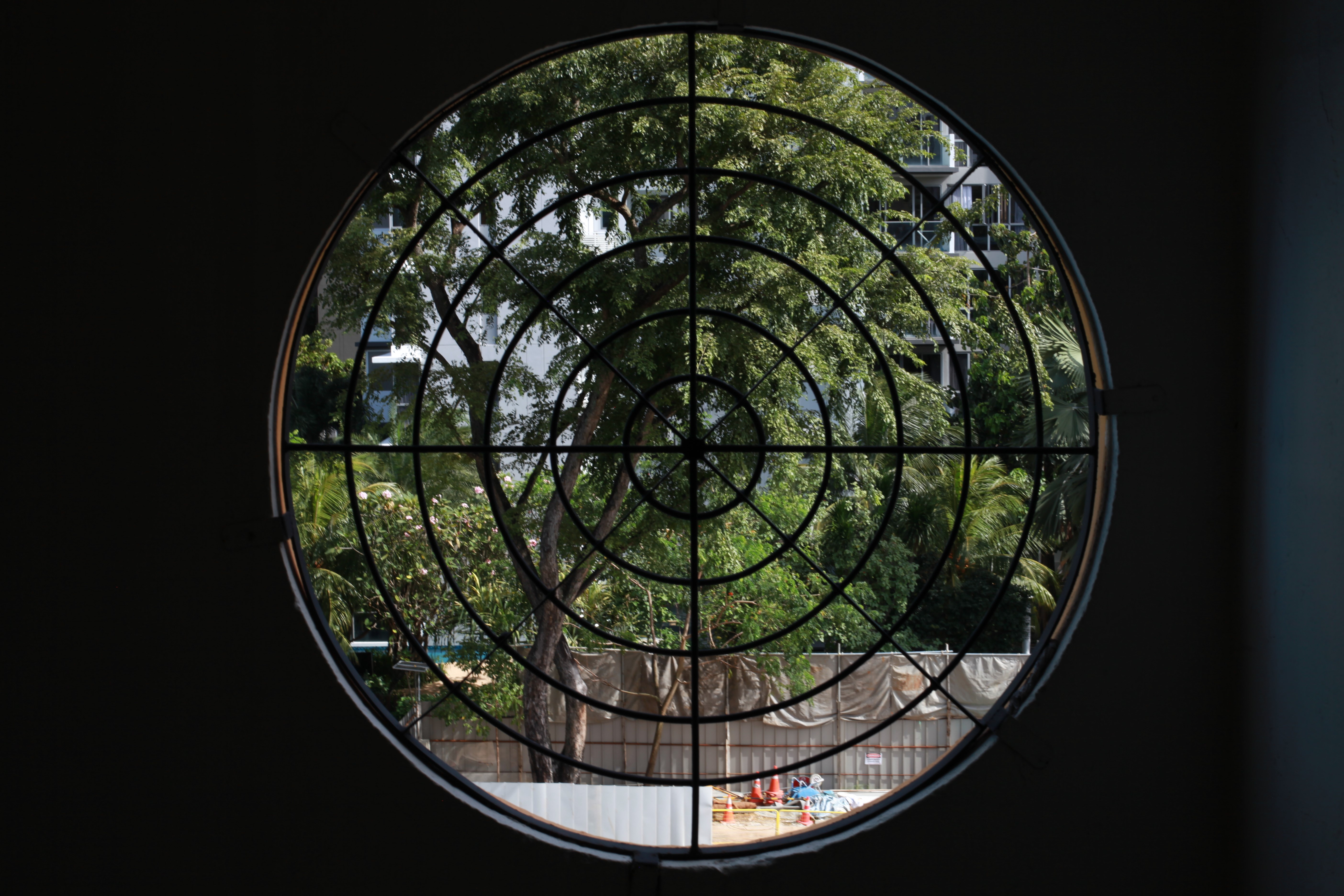 Image of trees through a geometric circular window resembling an old camera viewfinder