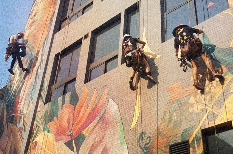 Image of artists scaling the facade of a building painting a mural